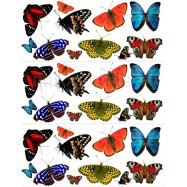 Бабочки водорастворимая бумага